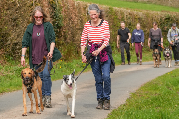 Sponsored Walkies