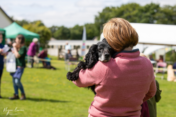 Novelty Dog Show