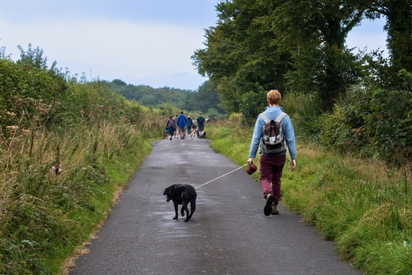 Walkies for Rescue