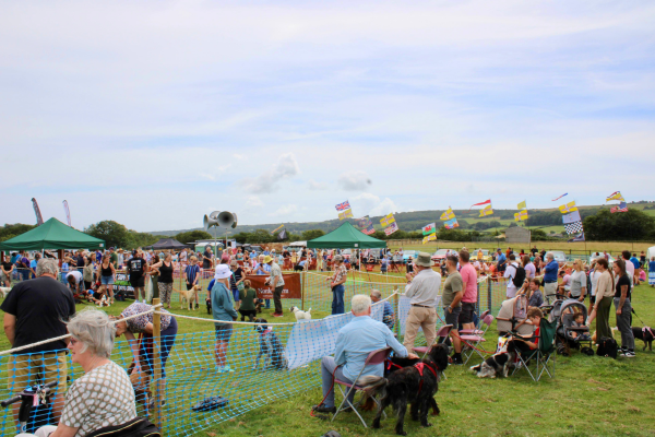 Country Dog Show