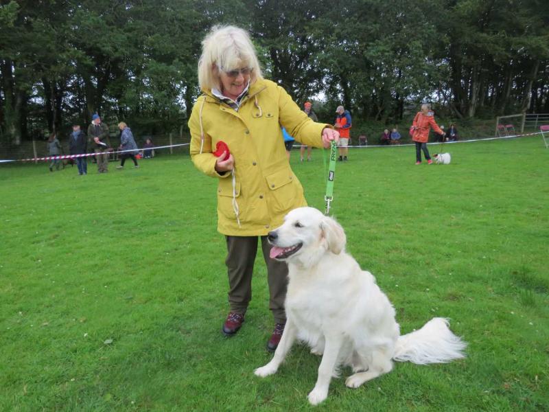 Best condition adult - Brook