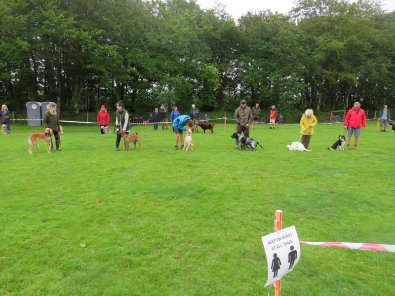 best condition adult class