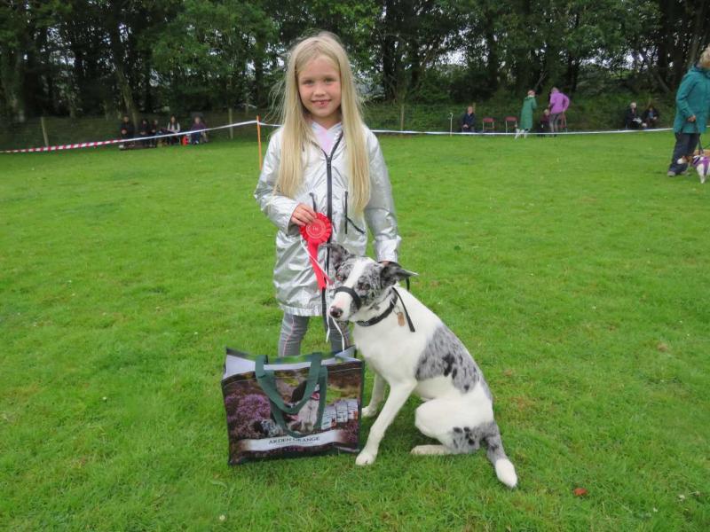 dog judge would most like to take home Suva