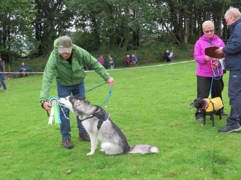 overall mgar winner marigold