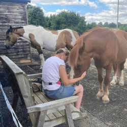 Chelsea, Brandy & Tiger Lily's Story