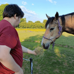 Chelsea, Brandy & Tiger Lily's Story