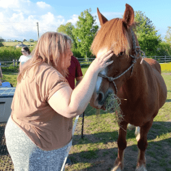 Chelsea, Brandy & Tiger Lily's Story
