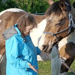 Chelsea, Brandy & Tiger Lily's Story