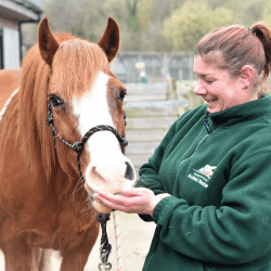 Chelsea, Brandy & Tiger Lily's Story