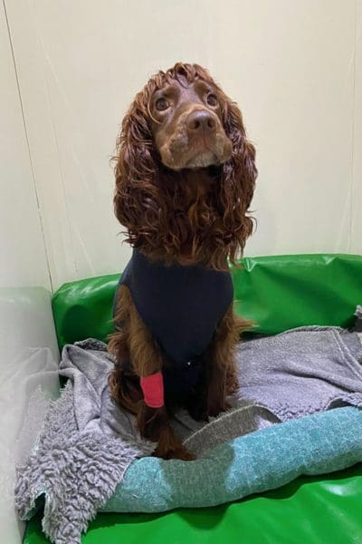 Road to Recovery