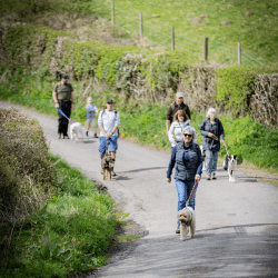 Sponsored Walkies Success!